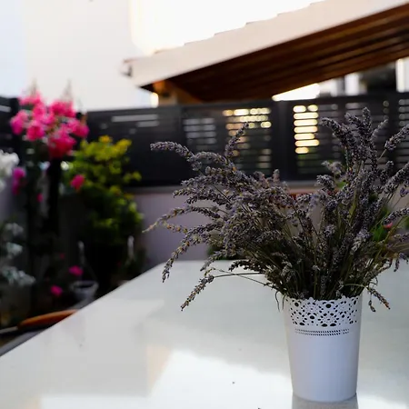 Megi Apartment Podstrana